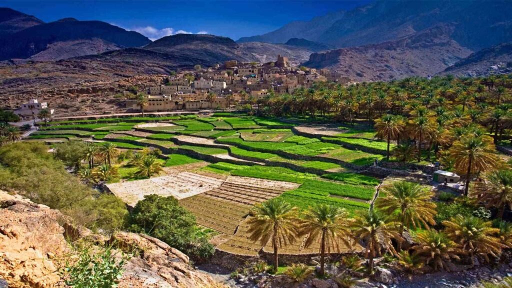 A breathtaking view of Salalah's lush green terraced fields and palm trees, a highlight of this Salalah travel guide.