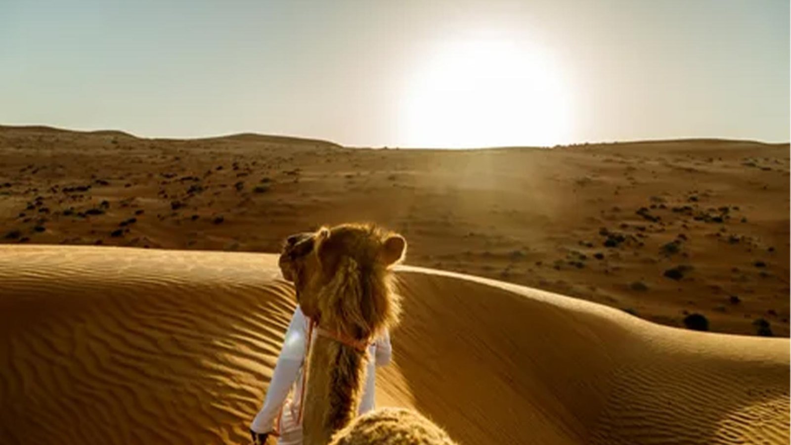 Wahiba Sand Oman sunset view