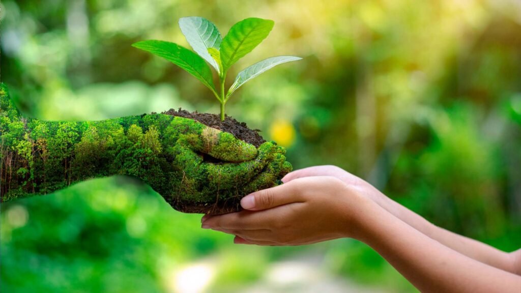 A close-up of a human hand, covered in green moss, holding a small plant sapling, being passed to another hand, symbolizing the connection between nature and humanity, and promoting Eco-Tourism in Oman.