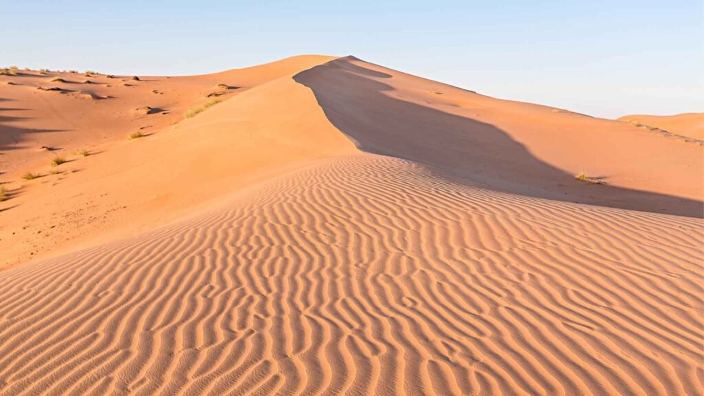 Wahiba Sands Oman: golden dunes with waves and a clear sky.