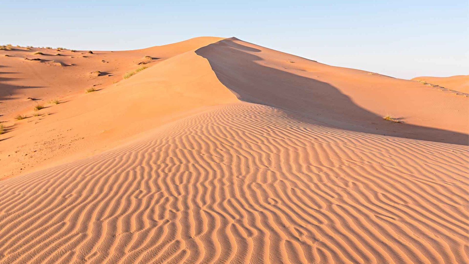 Wahiba Sands Oman: golden dunes with waves and a clear sky.