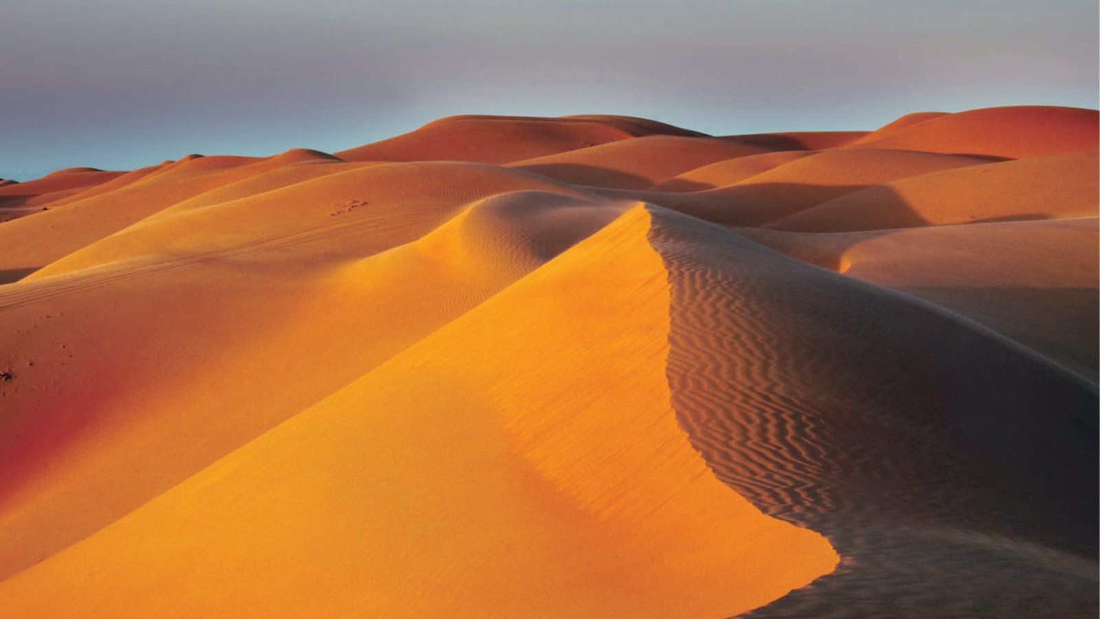 dunes of Wahiba Sands Oman