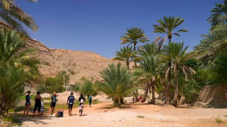 Wadi Trekking Adventures: Exploring Oman’s Scenic Wadis