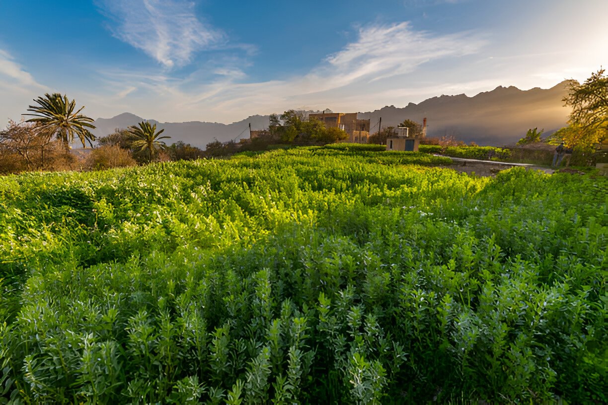 Agri-tourism in Oman Oman agriculture tourism